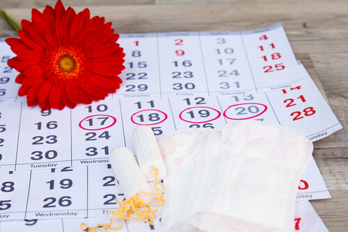 Calendario con una flor y compresas