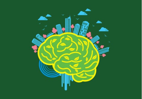 Neuroarquitectura: el poder del entorno sobre el cerebro