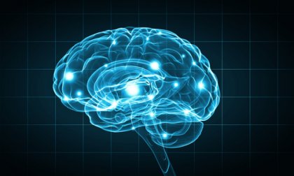 Métodos de investigación en biopsicología