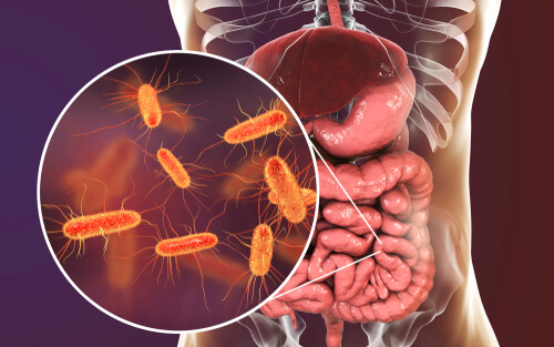 Microbioma intestinal
