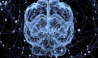 ¿El cerebro descansa?