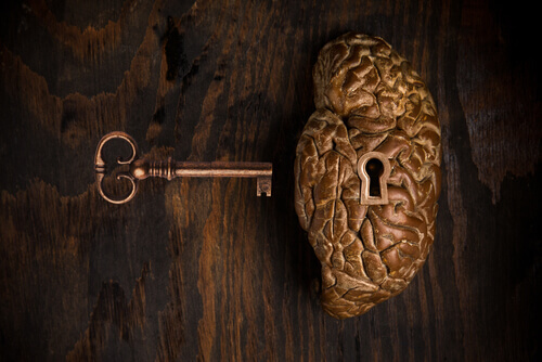 Cerebro cerradura
