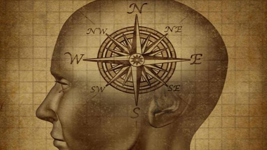 cerebro moral con brújula