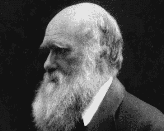 Charles Darwin, primo de Francis Galton