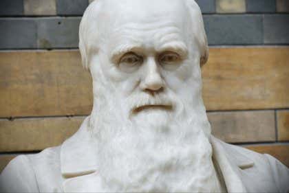 Las mejores frases de Charles Darwin