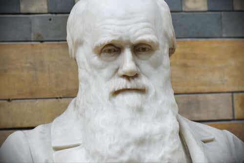 Las mejores frases de Charles Darwin