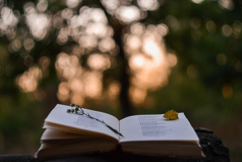 Libro con poesías