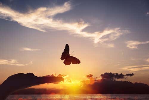 Papillon volant au coucher du soleil symbolisant le système immunitaire psychologique