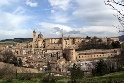 Urbino