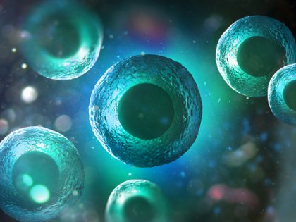Las células emiten luz antes de morir, según un estudio