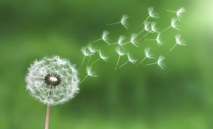 Ley del mínimo esfuerzo para gestionar el estrés