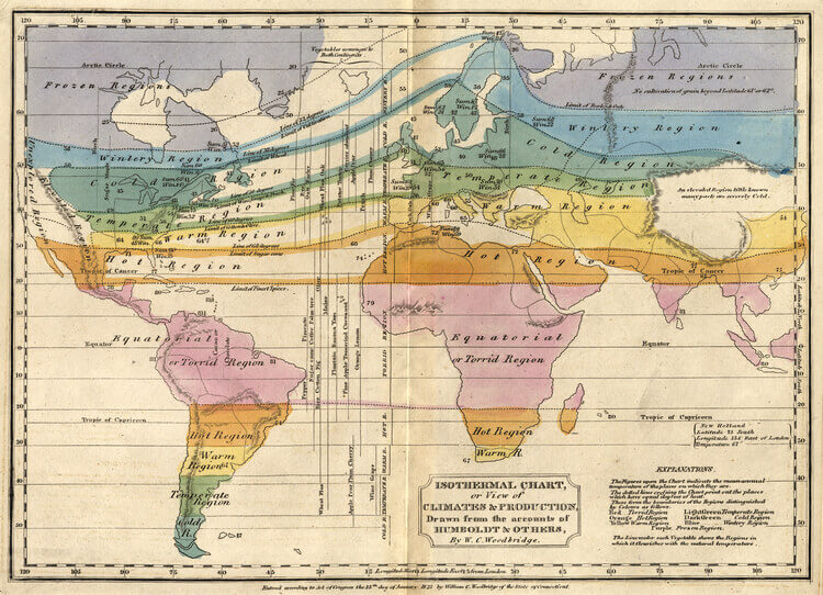Gráfico Isotermal