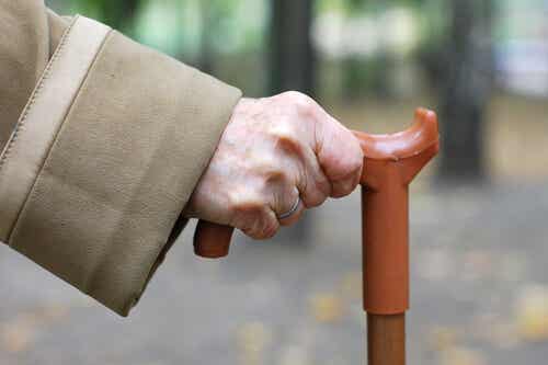 Cane Fu: la nueva disciplina marcial para las personas mayores