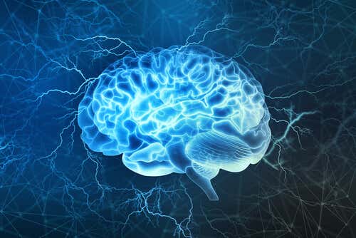 Cerebro de color azul para representar lo que es vivir con ansiedad anticipatoria 