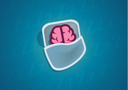 ¿Qué ocurre en las neuronas cuando dormimos?