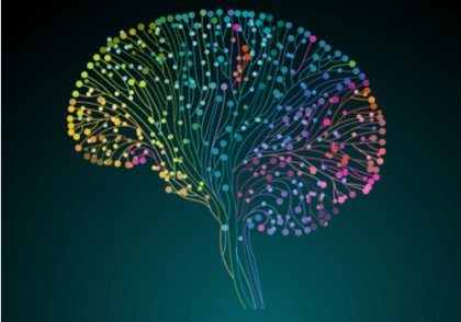 El Proyecto Conectoma Humano: descubriendo nuestro cerebro a fondo