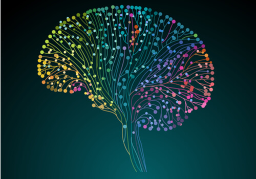 El Proyecto Conectoma Humano: descubriendo nuestro cerebro a fondo