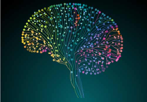 El Proyecto Conectoma Humano: descubriendo nuestro cerebro a fondo
