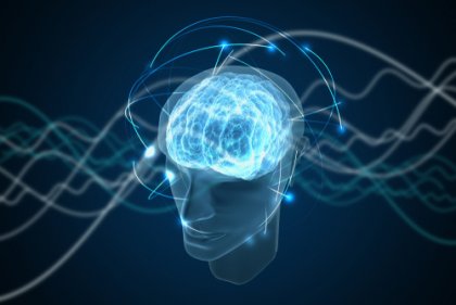 La fascinante teoría de la conciencia cuántica