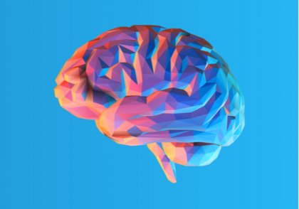 El cerebro bilingüe
