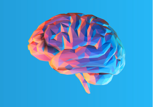 La teoría modular de la mente