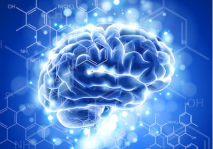Neuroética: características y desarrollo