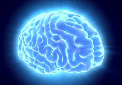 Cerebro iluminado de color azul