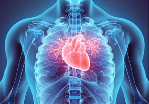 Corazón en el pecho