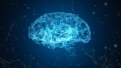 El proyecto Blue Brain