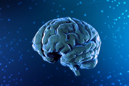 Breve historia de la neurociencia