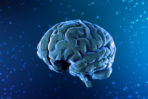 Cerebro