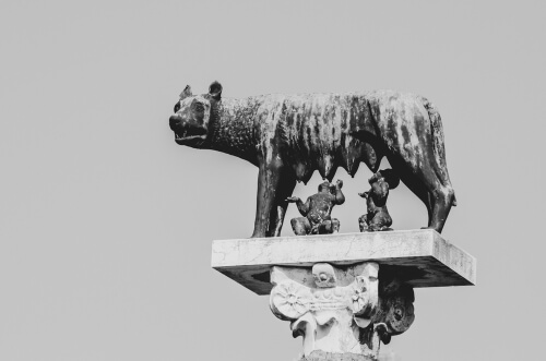 Loba capitolina