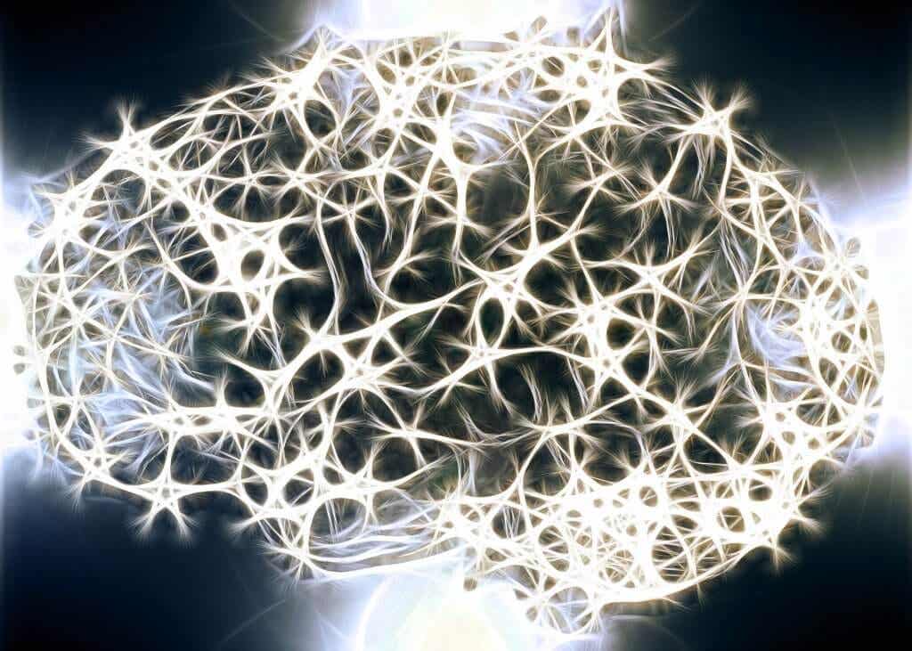 Upplysta hjärnneuroner