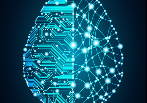 Visión del cerebro desde arriba