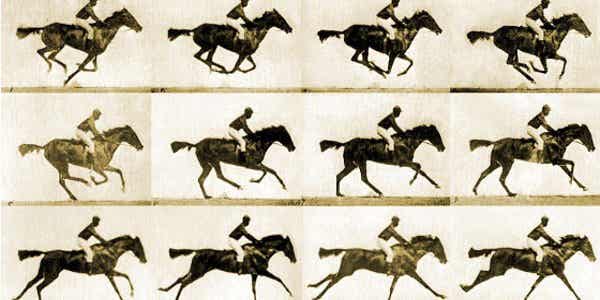 caballos representando el fenómeno phi