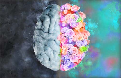 Neuroestética: ciencia para entender el arte