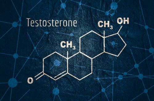 Testosterona: características y funciones