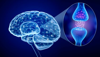¿Qué es la psiconeuroinmunología?