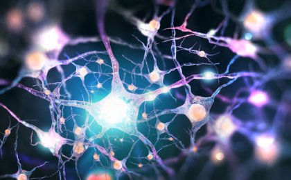 Dinorfinas: neurotransmisores opioides endógenos