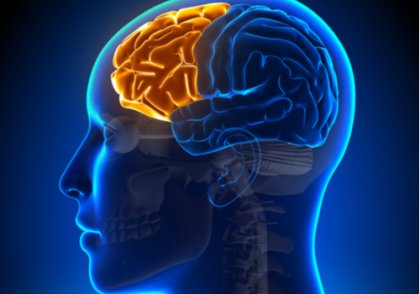 Síndrome disejecutivo: cuando falla el lóbulo frontal