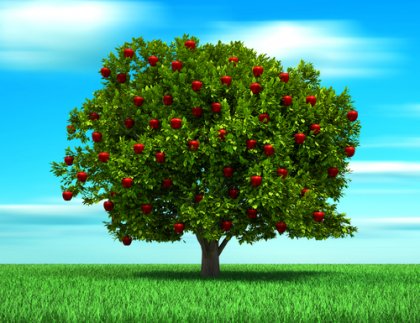 La parábola del árbol, una historia sobre el amor de un padre
