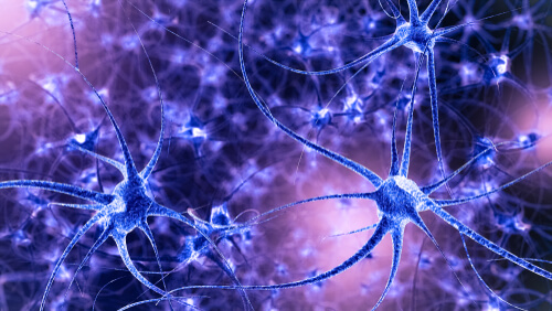 Neuronas para representar la plasticidad neuronal