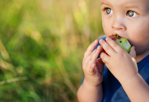 Niño comiendo una manzana