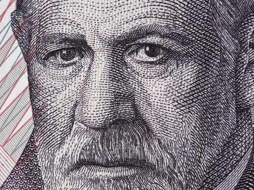 Freud's face