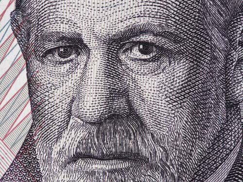 Il volto di Freud.
