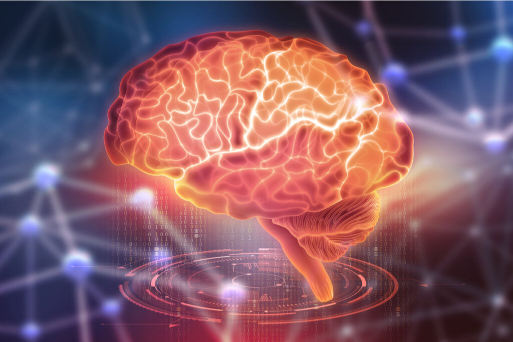 imagen representando el amor y el odio en el cerebro