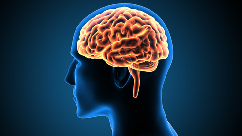 Víctor Leborgne, un caso clínico que cambió las neurociencias