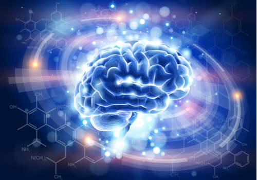 Cerveau illuminé 