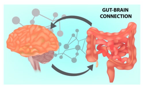 Microbiota intestinal: clave de la salud mental