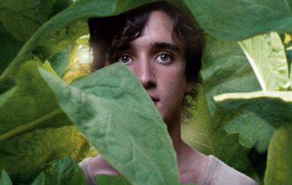 Lazzaro feliz, una maravillosa película sobre la bondad